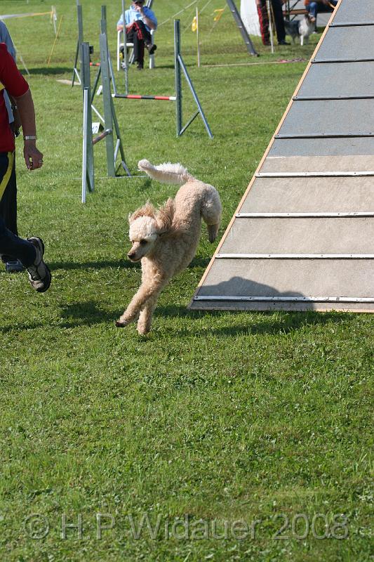 jubil.lusten. 218.jpg